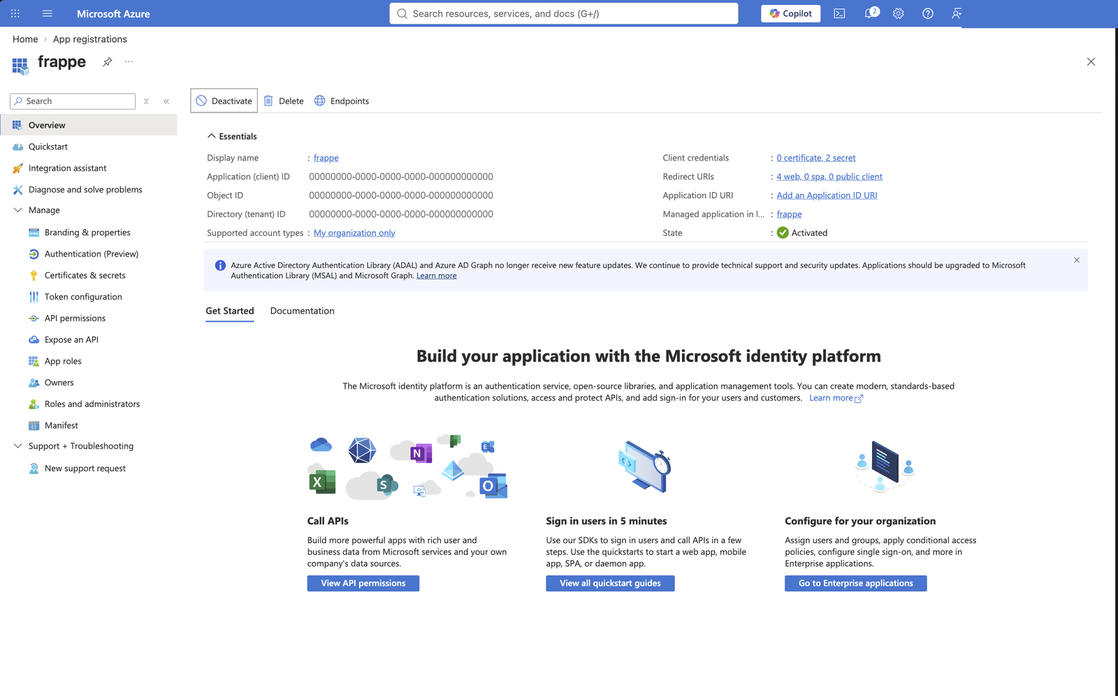Overview van de app-registratie in Entra, met Application (client) ID en Directory (tenant) ID